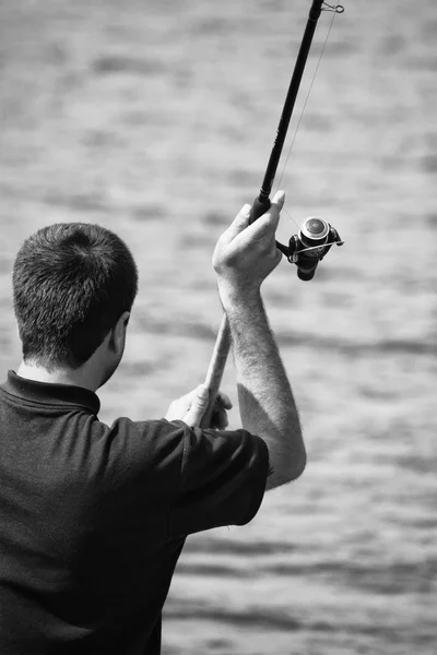 Siyah-beyaz balıkçı — Stok fotoğraf