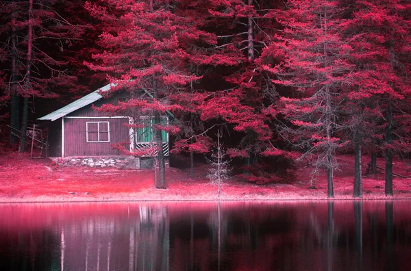 Lago a infrarossi — Foto Stock