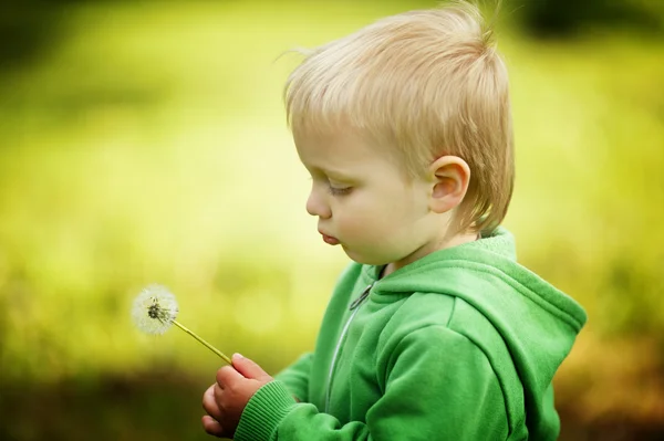 Lindo niño con diente de león — Foto de Stock