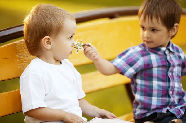 男の子は花を香り — ストック写真