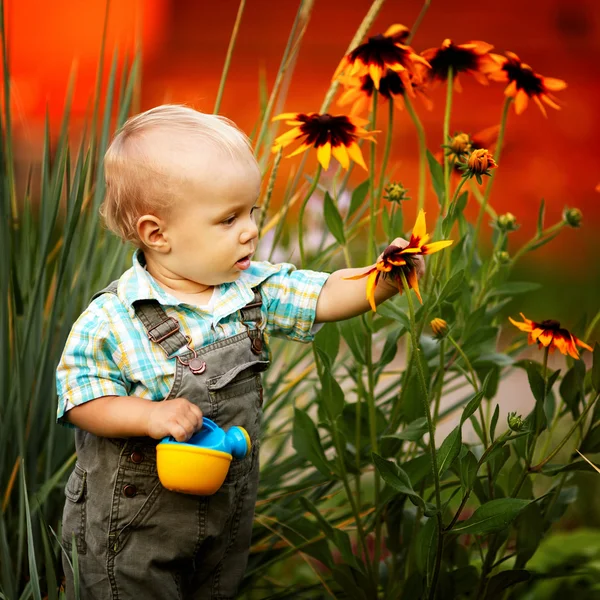 Niño pequeño con un riego puede comprobar la calidad de las flores —  Fotos de Stock