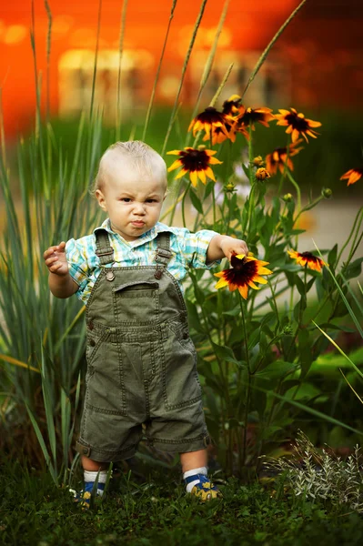 Menino cheirando flores — Fotografia de Stock