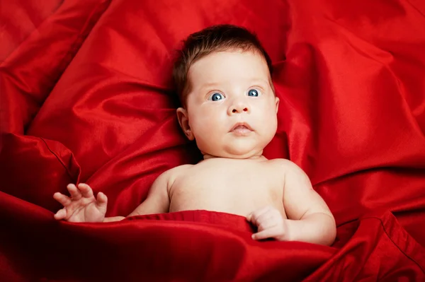 Cute baby porrait on red background — Stock Photo, Image