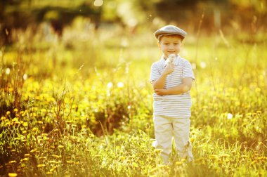dandelions ile şirin küçük çocuk
