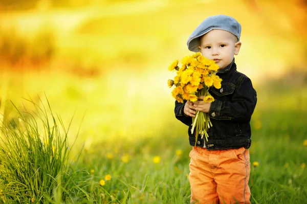 Cute little boy with dandelions — Stock Photo, Image