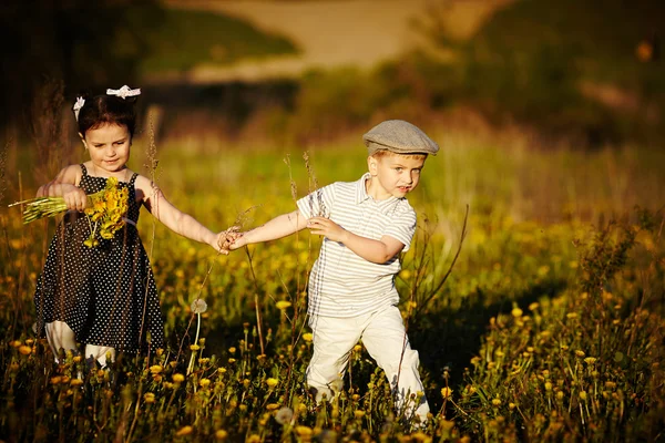 Cute boy and girl on summer field — Stock Photo, Image