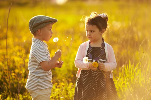 Симпатичные мальчик и девочка на летнем поле — стоковое фото
