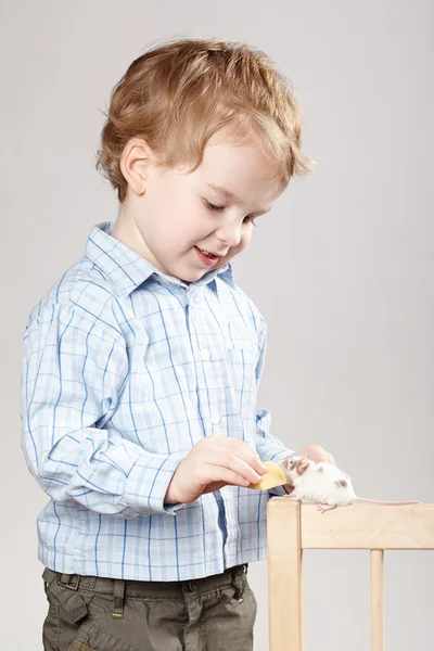 Little boy plays with mouse — Stock Photo, Image