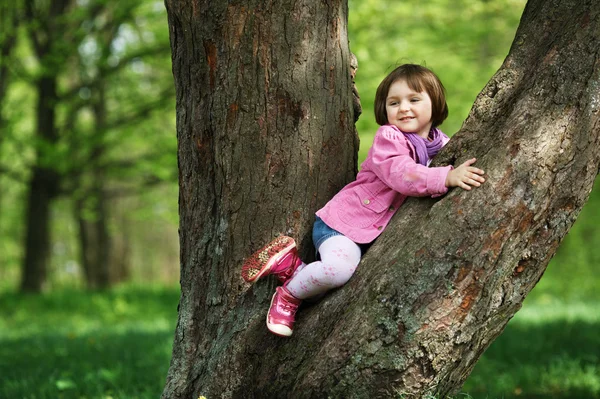 Menina escalando árvore no parque — Fotografia de Stock