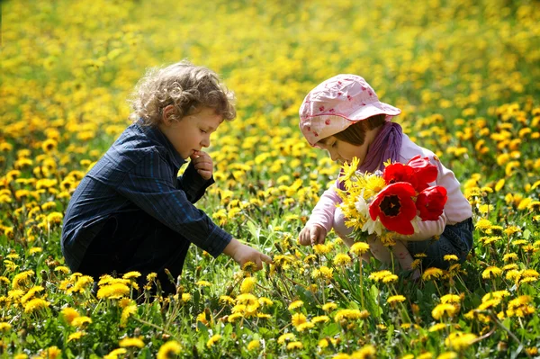 Pojke och flicka i sommar blommor fält — Stockfoto