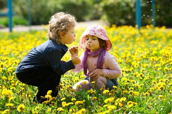 Pojke och flicka i sommar blommor fält — Stockfoto