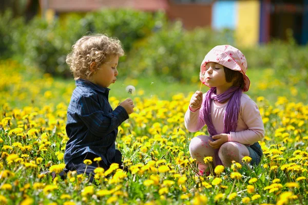 Pojke och flicka i sommar blommor fält — Stockfoto