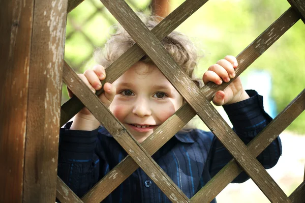 Little funny boy behind the fence Stock Picture