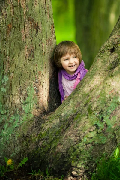 Маленькая девочка на большом дереве — стоковое фото