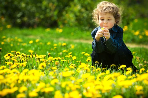 Liten pojke i blommor fält — Stockfoto