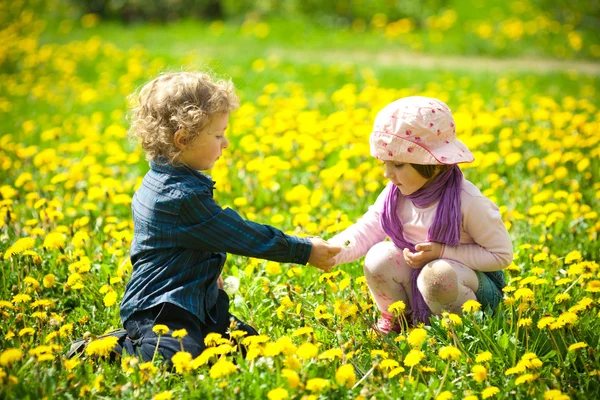 Menino e menina em flores — Fotografia de Stock