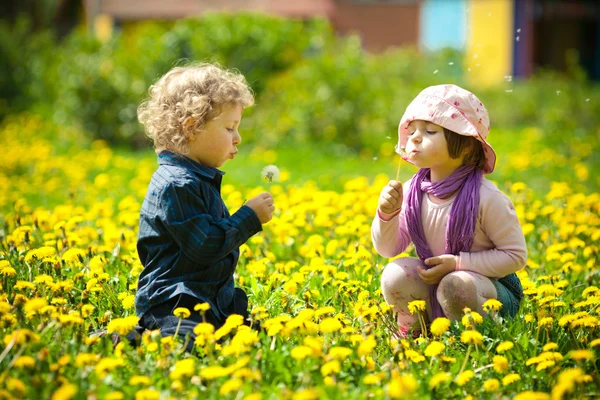 Мальчик и девочка в цветах — стоковое фото