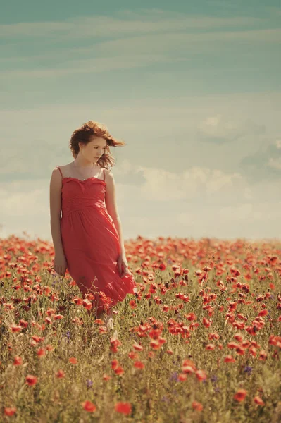 Jeune belle fille dans le champ de pavot — Photo