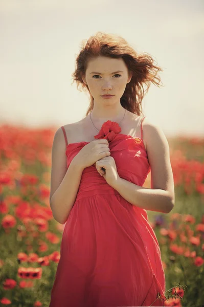 Young beautiful girl in poppy field — Stock Photo, Image