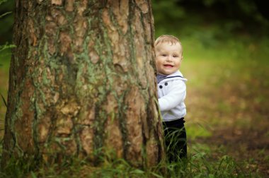 Park ağaç arkasına saklanmış bebek