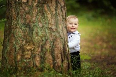 baby hiding behind tree in park clipart
