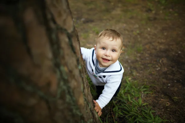 Baby hiding behind tree in park — Stock Photo, Image