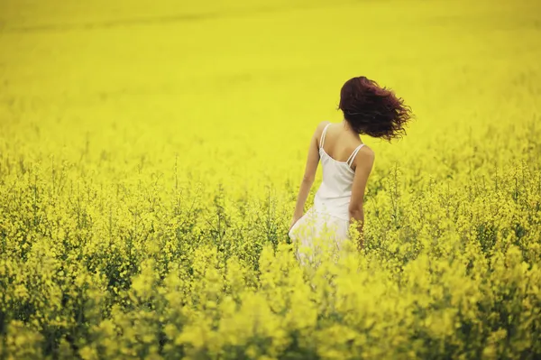 Young beautiful girl in the field — Stock Photo, Image