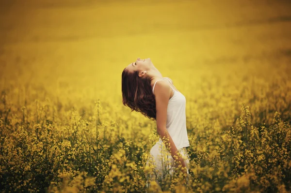 Young beautiful girl in the field — Stock Photo, Image