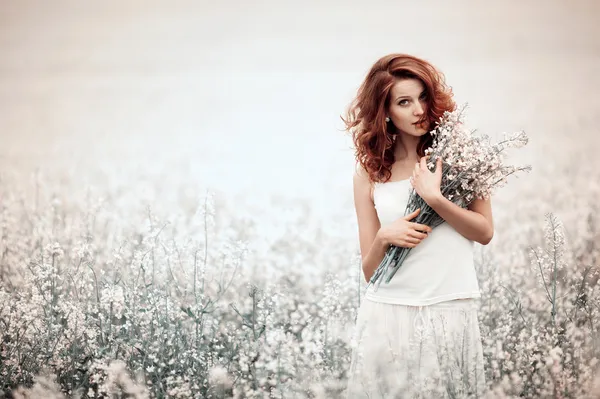 Young beautiful girl in the field — Stock Photo, Image