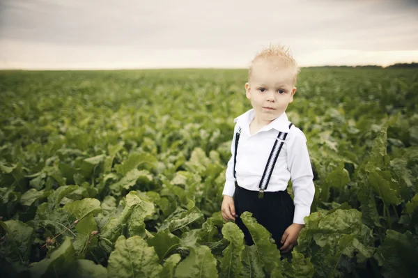 Malý chlapec v zeleném poli — Stock fotografie