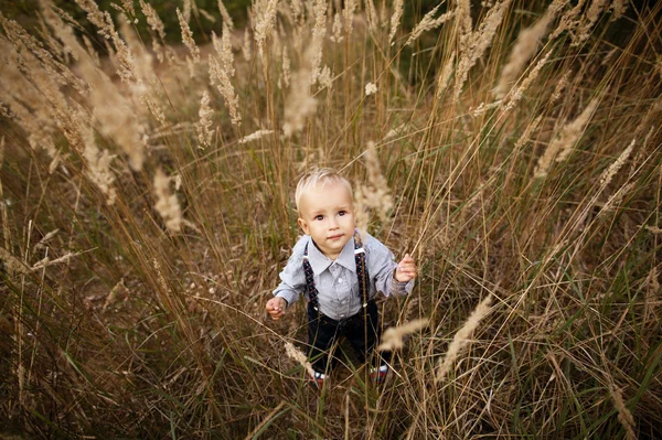 Sad little boy in high grass — Stock Photo, Image