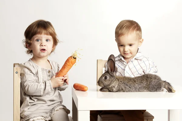 Девочка кормит кролика морковью — стоковое фото