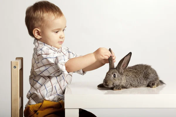 Niño con conejo —  Fotos de Stock