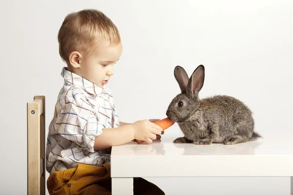 Menino alimentando coelho com cenoura Fotos De Bancos De Imagens