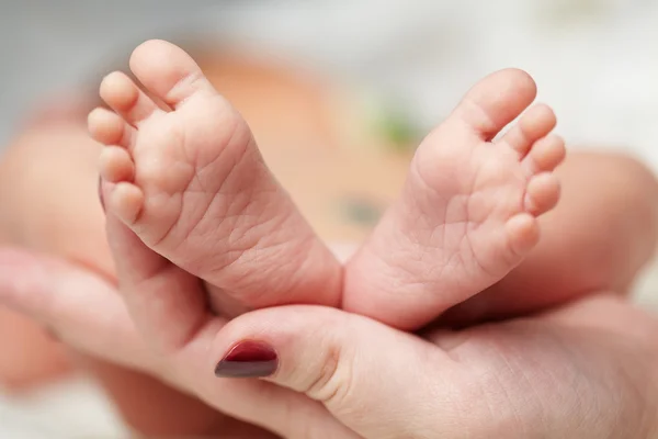 Mãe segurar pés de bebê recém-nascido — Fotografia de Stock