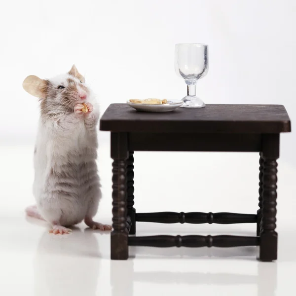 Mouse dines at the table — Stock Photo, Image