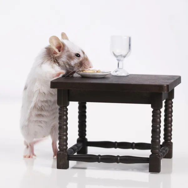 Mouse dines at the table — Stock Photo, Image
