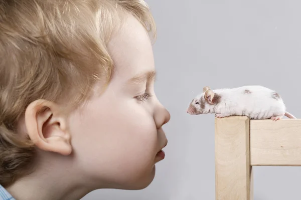 Menino brinca com rato — Fotografia de Stock