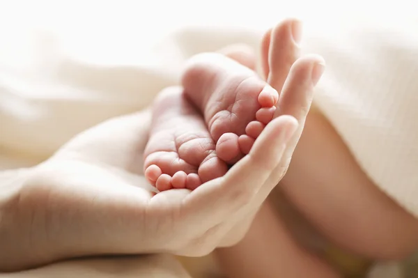 Matka drží nohy novorozeného dítěte — Stock fotografie