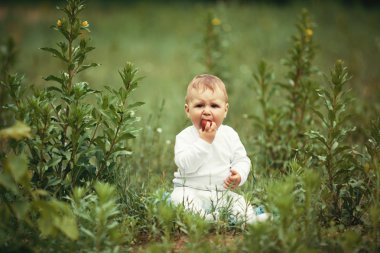 küçük oğlan oturuyor ve çilek ile çim