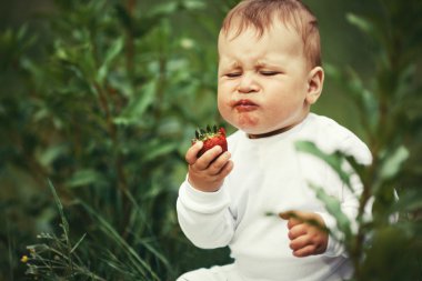küçük oğlan oturuyor ve çilek ile çim