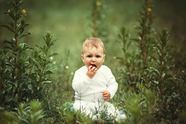 Petit garçon assis dans l'herbe avec fraise — Photo
