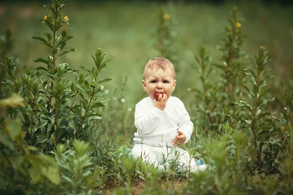 Маленький мальчик сидит в траве с клубникой — стоковое фото