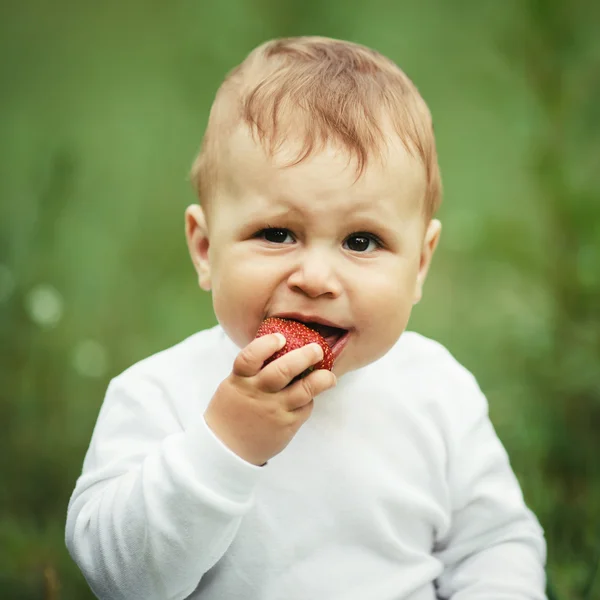 Little boy sitting in grass with strawberry — Stock Photo, Image