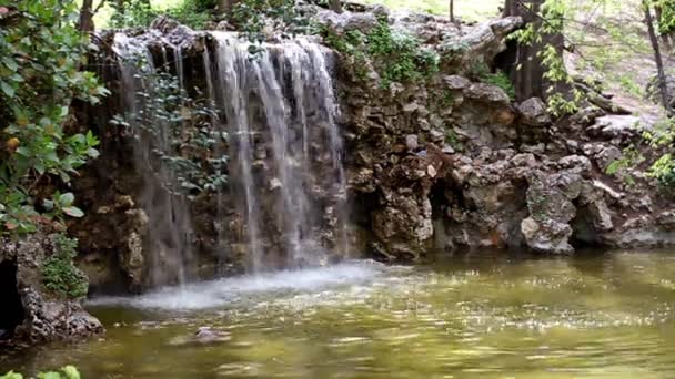 Wodospad w parku — Wideo stockowe