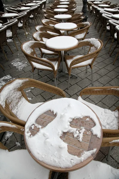 Caffee garden on snow