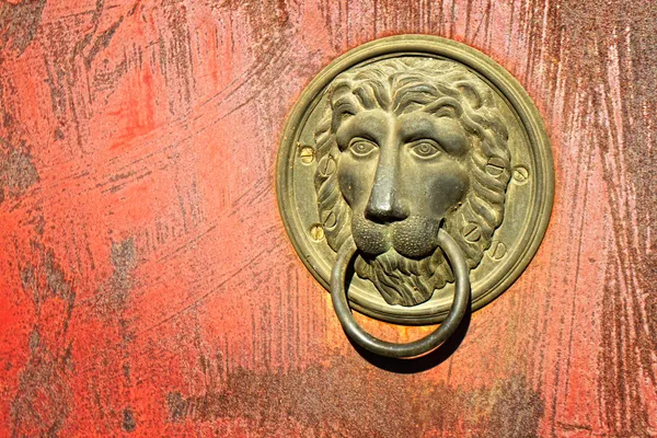 Lion knocker — Stock Photo, Image