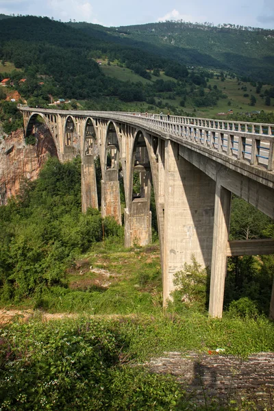 Bridge over Tara — Stock Photo, Image