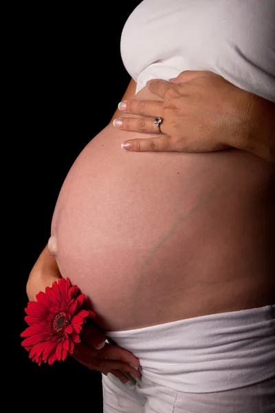 Expectant mother with red flower — Stock Photo, Image