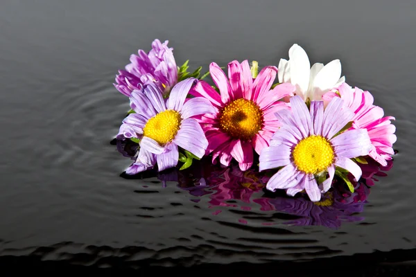 Bloemen vallen in water — Stockfoto